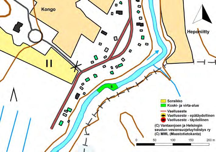 Kuva 49. Lepsämänjoen Kongon (8) virta-alue. Kuva 50. Lepsämänjoen Juholan (9) virta-alue. 3.