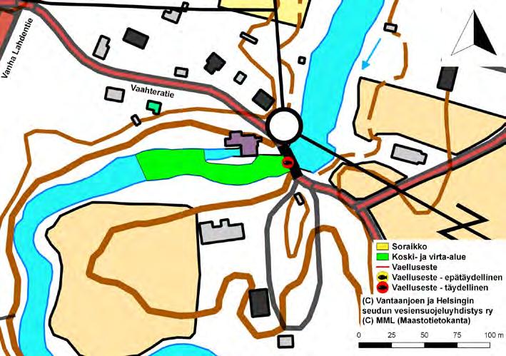 Kuva 52. Haarajoen padon alapuolinen koski- ja virta-alue. Lipinkosken alueella (pituus n. 75 m, pinta-ala n.