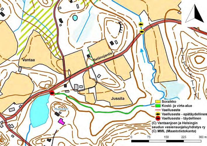 3.1.1 Myllykoski, Toromäenkoski ja Käräjäkoski Käräjäkosken inventoitu alue kattoi alueen Myllylammin padolta alavirtaan (Myllykoski) Käräjäkosken alapuolelle, Koivikkotien sillalle asti (kuva 5).