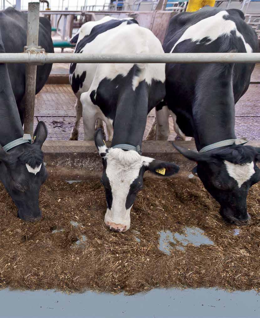 //////// PIENEMPI HÄVIKKI /////// Näytetty DeLaval Plast -päällysteen kanssa Koska OptiDuo työskentelee kaksinkertaisella teholla, rehu sekoitetaan aina uudelleen kun sitä siirretään.