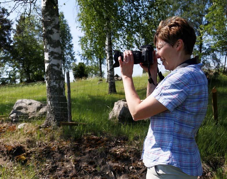 70 ruuan, maiseman, yritys- ja järjestötoiminnan