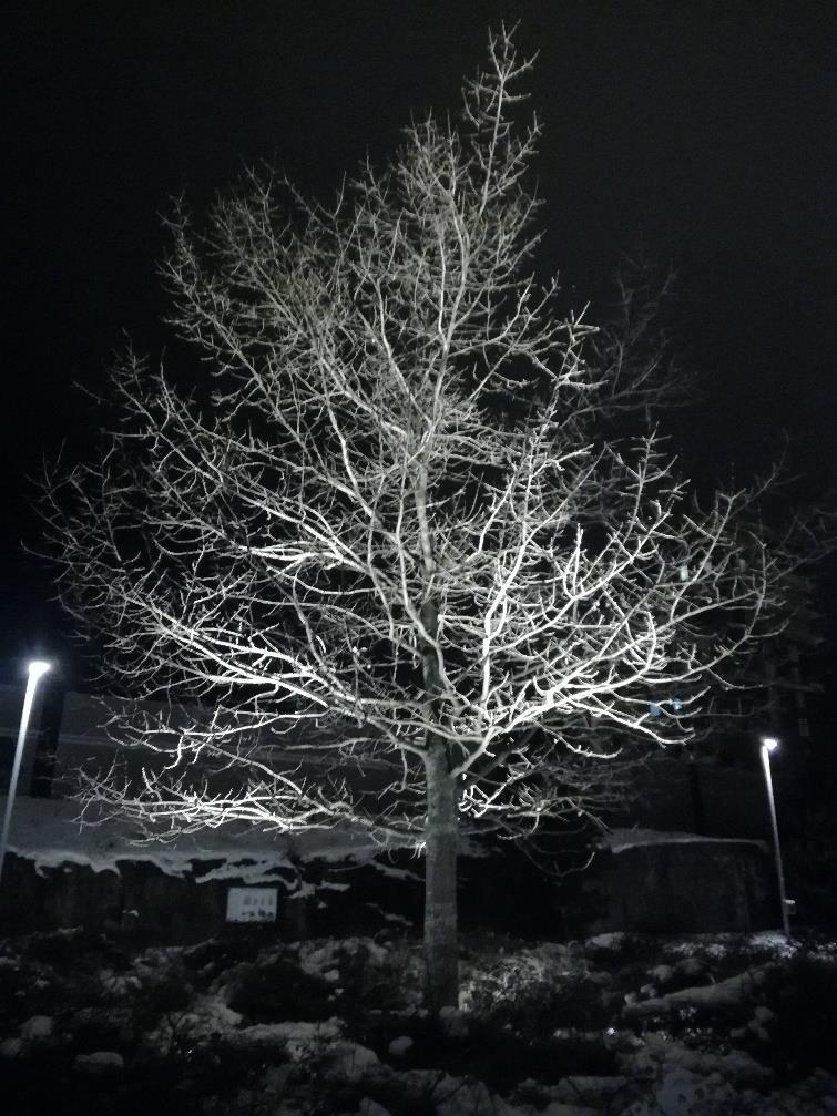 Ajankohtaista Jäsentiedotteen tekijän paikka auki Jäsentiedotetta on toimittanut viimeiset kaksi vuotta Sonja Toivola. Kiitos Sonja. Etsimme seuraavaksi kahdeksi vuodeksi uutta toimittajaa.
