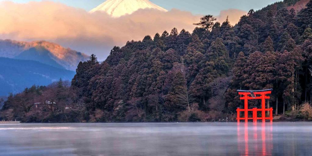 Japani risteillen Koe hienostunut kulttuuri Tokiossa ja