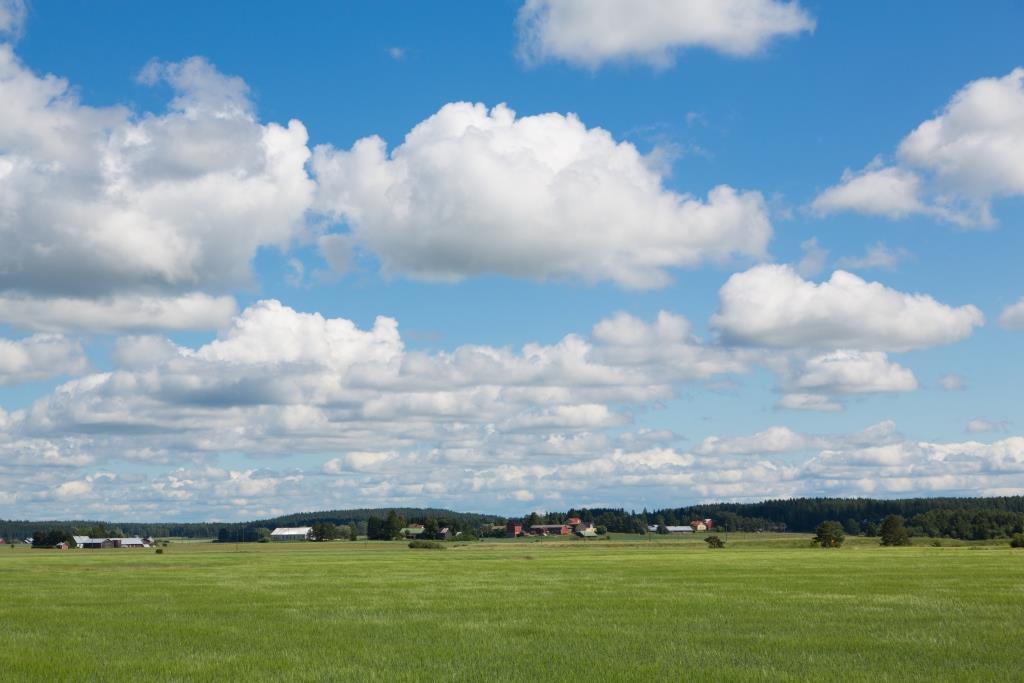 Lisätietoa