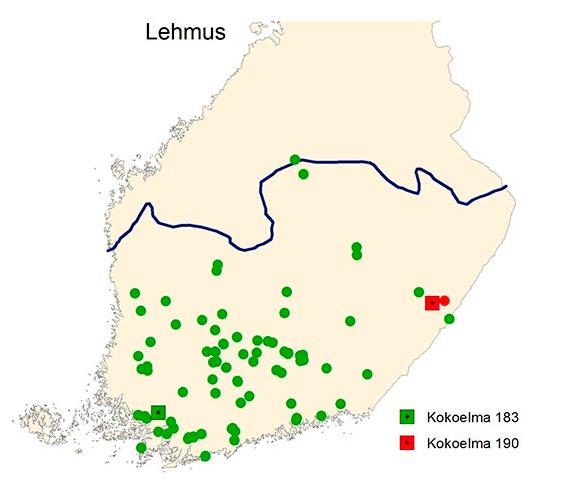 MAA- JA METSÄTALOUSMINISTERIÖN JULKAISUJA 2018:11A Hieskoivun levinneisyys Suomessa kattaa lähes koko maan pohjoisinta Lappia lukuun ottamatta.