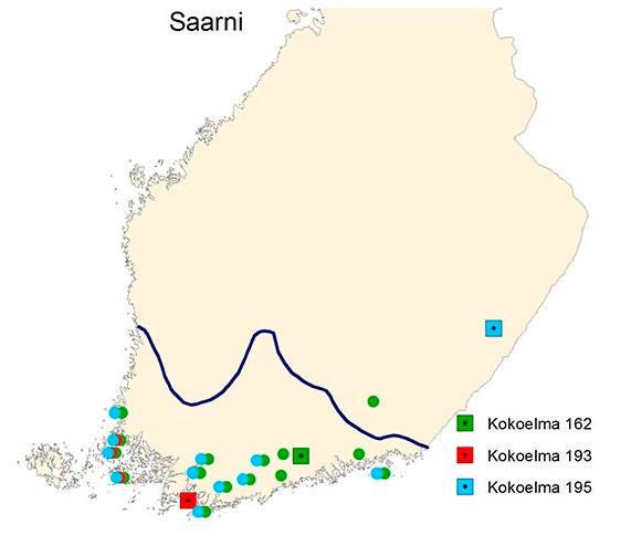 SUOMEN MAA-, METSÄ- JA KALATALOUDEN KANSALLINEN GEENIVARAOHJELMA Saarni (Fraxinus excelsior) Saarnen levinneisyys Suomessa on erittäin eteläinen, minkä lisäksi kasvupaikkavaatimukset tekevät