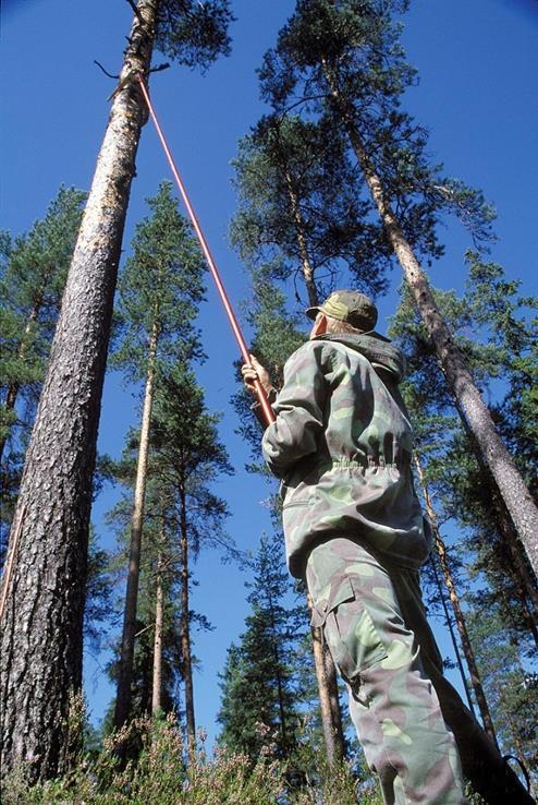 Metsien kartoitus: Valtakunnan metsien inventointi VMI VMI perustuu systemaattiseen ryvästettyyn koealaotantaan 5 vuoden inventointikierrolla 6 otanta-aluetta, joissa ryväsväli, rypään koko ja muoto