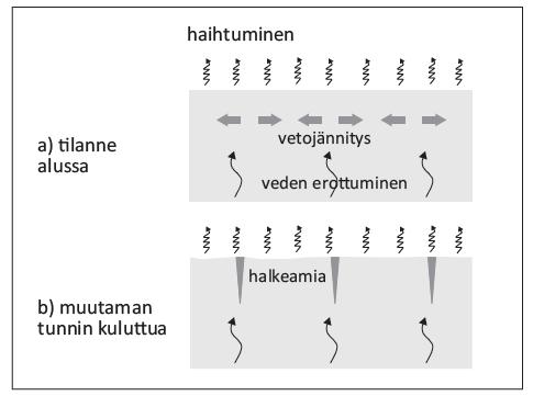 Veden haihtuminen: ilman kosteus lämpötila auringon