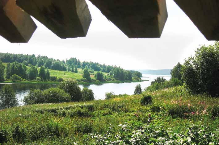 Tämän perusteella artisti Anssi Kela, jonka on väitetty olleen Vaassila Kieleväisen sukua, ei todennäköisesti sittenkään ole saanut laulugeenejään Kieleväisen suvusta.