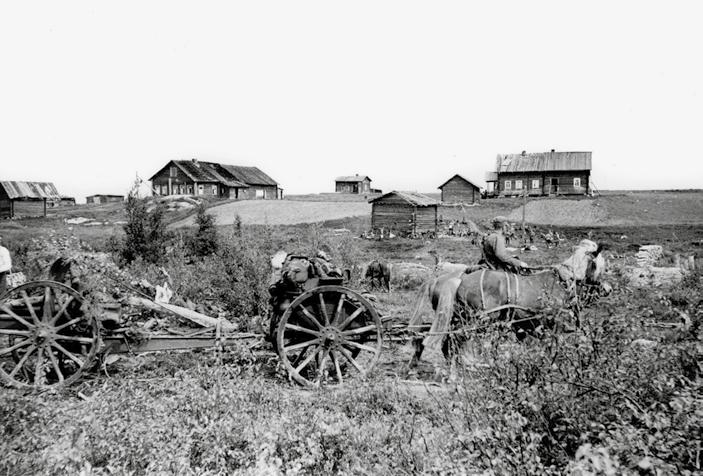 Vuoteen 1900 mennessä tuolloin 66-vuotiaaksi merkityn Ivan Kargujevin johtama kotitalous laajeni suurperheeksi, joka käsitti kolmea sukupolvea edustavat neljä avioperheyksikköä.