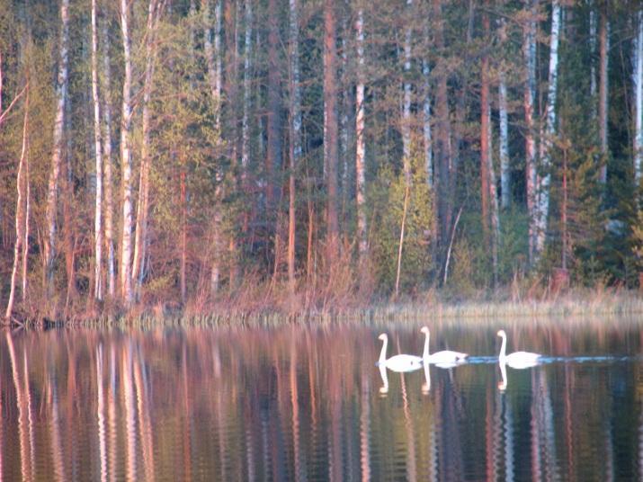 59 yksi osuudenomistaja monen muun joukossa, mutta pyrimme ennakoivasti ja tapauskohtaisesti vaikuttamaan salkunhoitajan arvopaperivalintoihin.