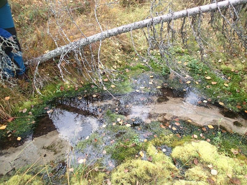 Lähteessä oli selvä lähdesilmä (allikkolähde) ja siitä lähti noro.
