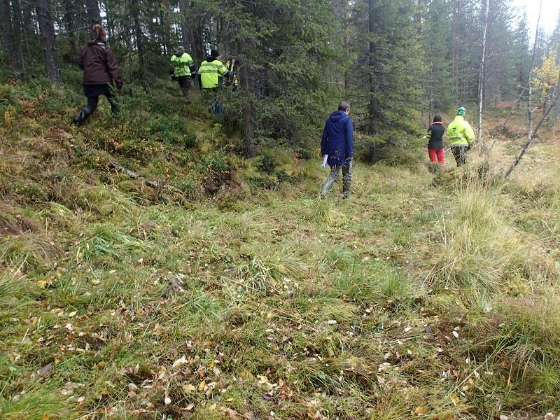 Kuvat 29 ja 30. Lähde 716 Hannukaisen alueella. Ympäristövaikutusten arviointiin liittyvän kartoituksen mukaan lähde on tihkupintainen ja luonnontilainen.