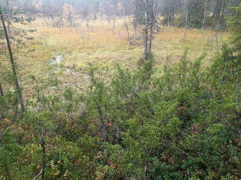 Lähde jäisi kaivostoiminnassa sivukiven läjitysalueen alle.