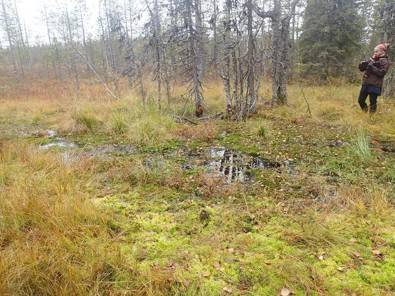 Kuvat 31 ja 32. Lähde 718 Hannukaisen alueella. Ympäristövaikutusten arviointiin liittyvän kartoituksen mukaan se on luonnontilainen.
