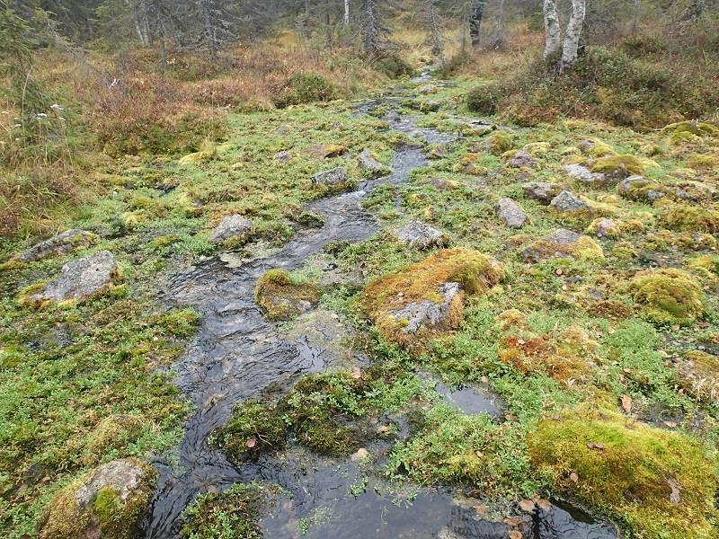 Kuvat 33 35. Lähde 900 kaivospiirin ulkopuolella kaivospiirin ja Kuerjoen välillä.