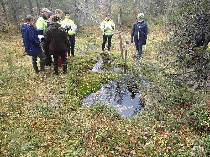 alueellisesti uhanalainen). Lähteessä on Rautaruukin toiminnan aikainen pohjavesi- tai kairausputki.