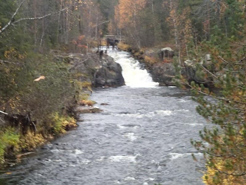 Alueella ei oltu tehty suunnitelmallisia jälkihoitotoimenpiteitä, vaan se oli