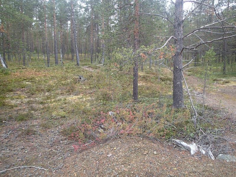 Kuvat 13 ja 14.