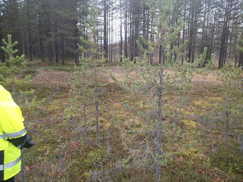 suuntaan (oikeanpuoleinen kuva). Kuvat 15 ja 16.