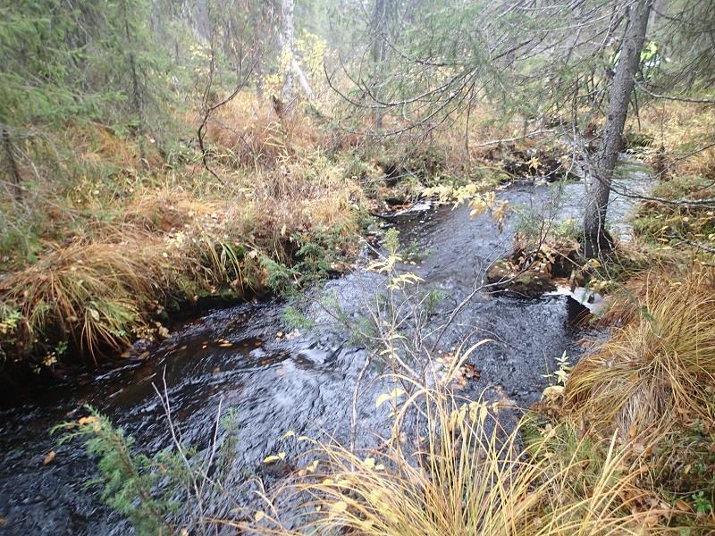 vesivarastoaltaan alapuolelta, noin 1,8 km.