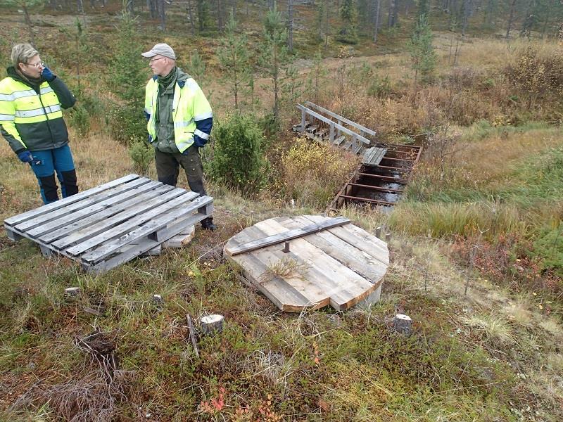 on meritaimen potentiaalista lisääntymisaluetta.