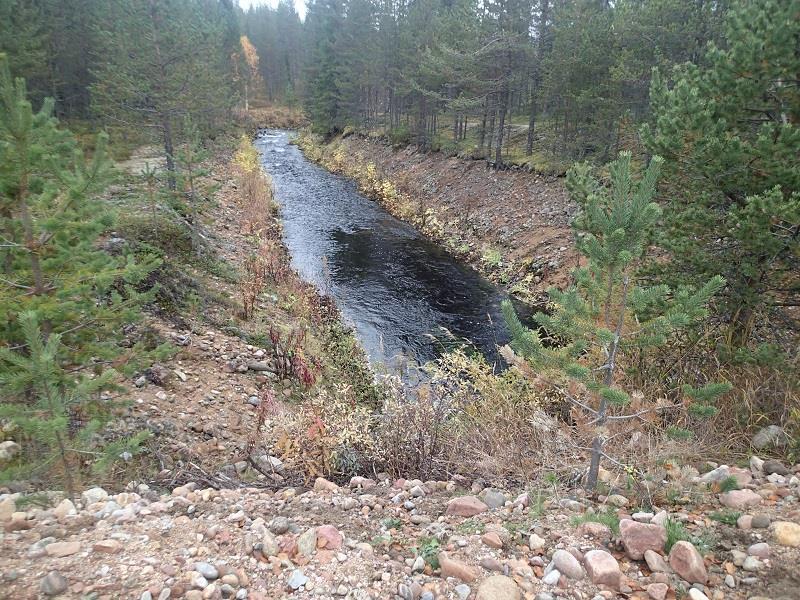 Metsähallituksen luonnonravintolammikko
