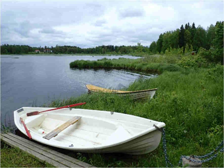 Lehtometsän edustalla on luhtaranta, joka on metsälain tarkoittama arvokas elinympäristö ja viitasammakon potentiaalinen elinympäristö.