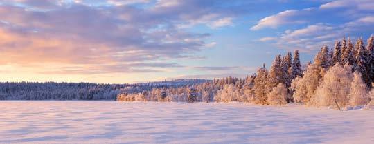 alutessasi voit hankkia omalle veneellesi laituripaikan kotisalmen toisella puolella sijaitsevasta uokkalan pien- tille, Jyväsjärveä kiertävälle rantaraitille.