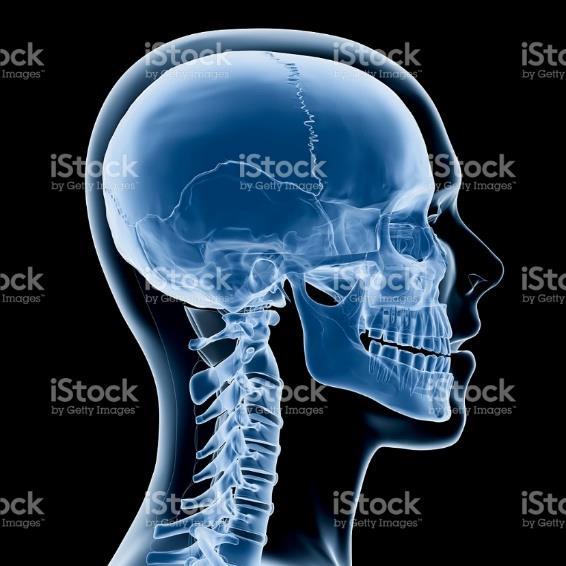 11 Kuva 3. Pään painopisteen sijainti (Head and neck x-ray 2018, muokattu). C0 C2 nikamat ovat rakenteeltaan poikkeavia ja näiden välistä puuttuvat välilevyt.
