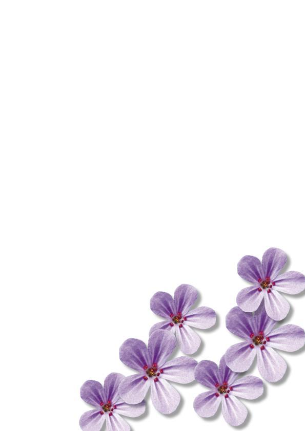 (Quick Selection Tool) 2) Valitse siveltimen koko: alussa voi olla isompi; esim.