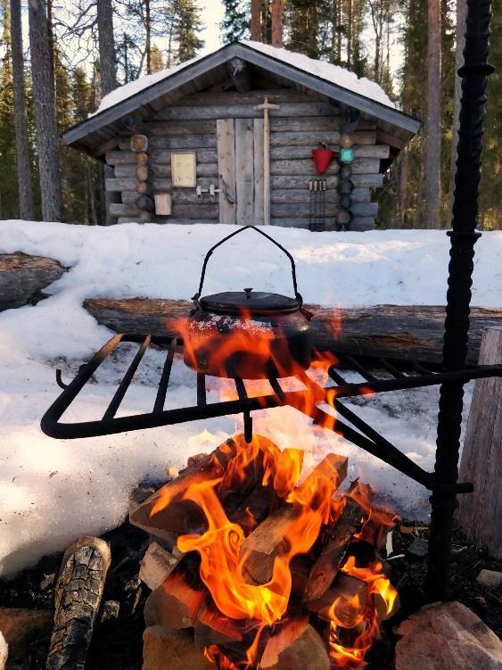 Järjestimme kaksi luonnonpäivää ja osallistujia oli mukavasti. Järjestimme luontoleirin. Fb- ja twitter-näkyvyyttä, killat loivat tahoillaan valtakunnallisesti kattavan toiminnan viikonlopulle.