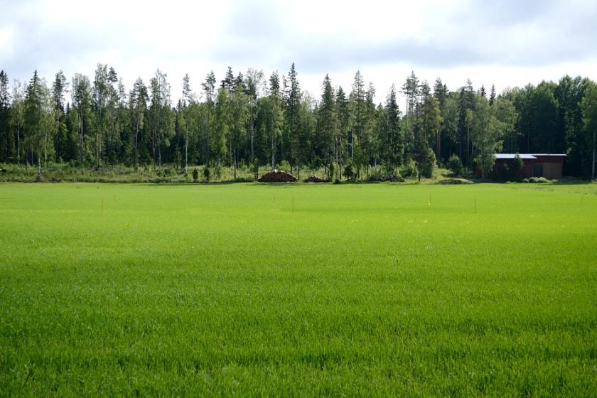 Integroidun torjunnan määritelmä Integroidulla torjunnalla tarkoitetaan kasvinsuojelumenetelmien käyttöä