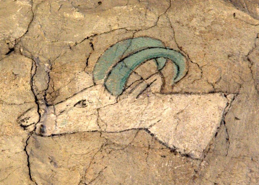 VUOHET 1600-1700-LUVUILLA Maaseudulla erikoistumista vuohien kasvatukseen? Pukit (=säämiskä) tärkeä myyntiartikkeli, ehkä myös vuohenjuusto Männyn neulaset ovat melkeinpä niiden ainoata ruokaa.