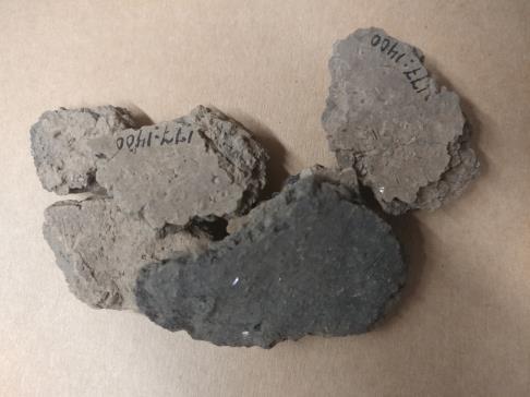 OLIVATKO SUOMEN VARHAISIMMAT KOTIELÄIMET VUOHIA?