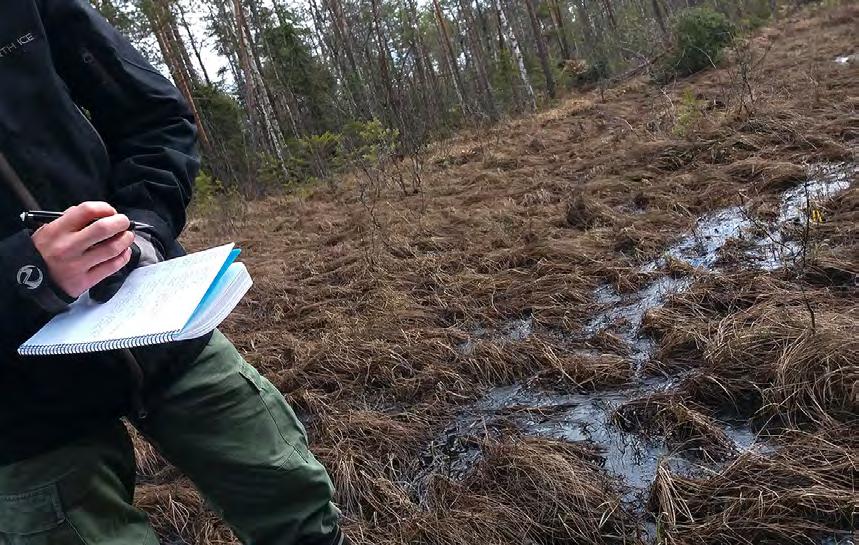 10 1.6 SAMMALTEN KERUU PUUTARHAKOKOELMIIN Tieteellisiä eläviä sammalkokoelmia ei vielä toistaiseksi ole Suomessa.