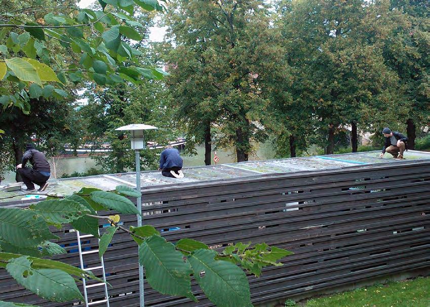 15 vihuoneen katosta tippuva kondenssivesi usein altistaa sammalkasvatukset homeelle ja levän kasvulle, vaikka kosteus sinänsä ei hidasta sammalten kasvua.