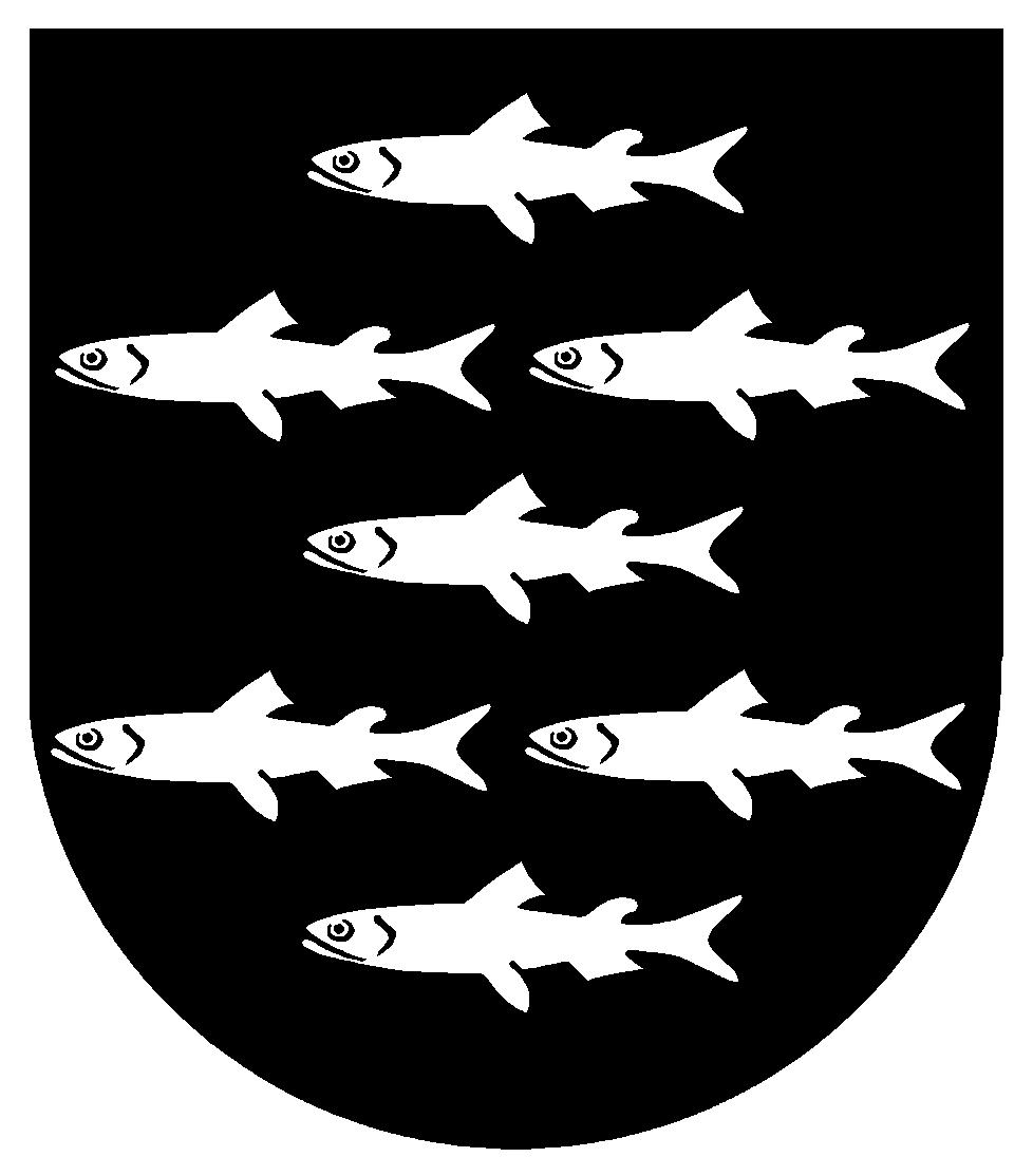 Viitasaaren kaupunginvaltuusto 10.12.