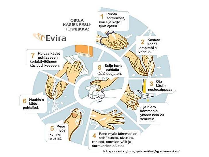 LIITE 4: Käsienpesuohje Työpaja