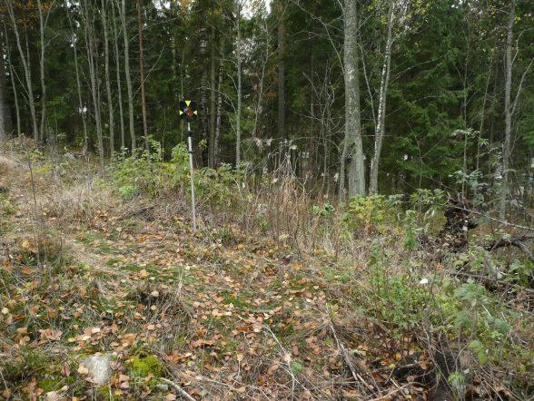 9 Röykkiö