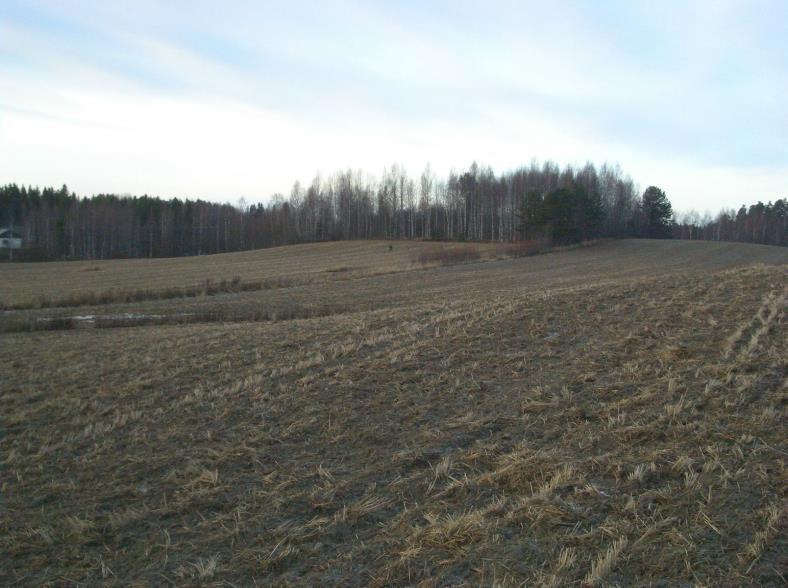 6 Asuinpaikka taustalla peltorinteessä hieman oikealla, missä ojassa kaksi mäntyä niiden molemmin puolin JÄMSÄ 306 KÖNKKÖLÄ 6 Rauh.