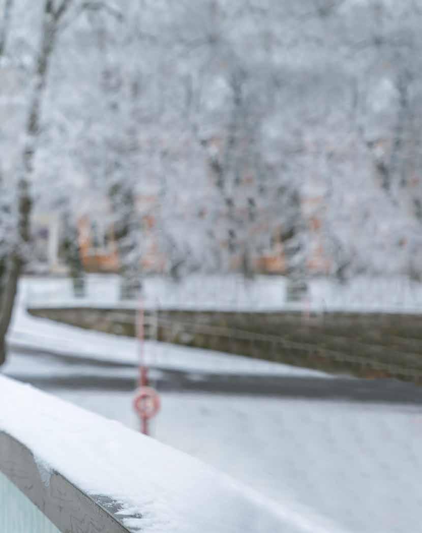 HYVÄ PALVELU ON TAHDON ASIA Vuosi 2017 on ollut yhtä suurta Suomen 100-vuotisjuhlaa.