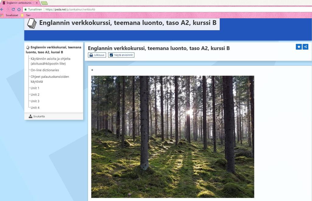 kiinnostuneet päässeet mukaan. Yhteistyö jatkui samalla sopimuksella syyslukukaudella 2017 (yhteensä 10 oppilaspaikkaa).