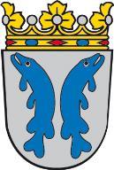 Vanhustyö RAVA-MITTAUS