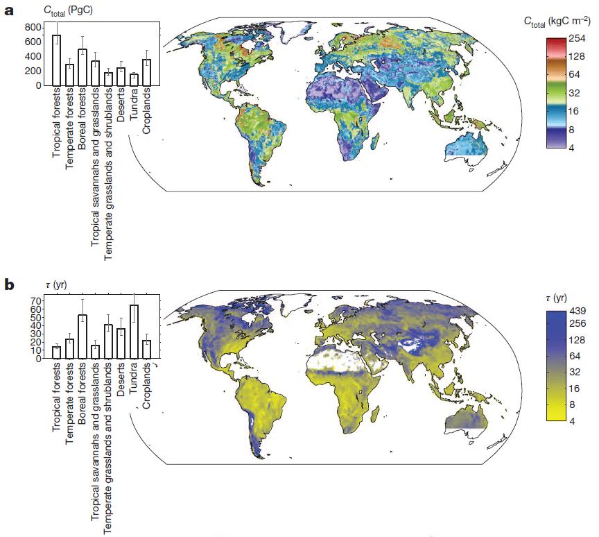 Hiilivarastot ekosysteemeissä Hiilen määrä eri biomeissa Suurin hiilimäärä trooppisissa ja boreaalisissa metsäekosysteemeissä. Maaperän suurimmat hiilivarastot tundralla ja boreaalisissa metsissä.