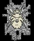 Hyönteisten alkutuotannon vaatimukset esimerkki! HYGIENIA - JAUHOPUNKKI (Acarus siro) Jauhopunkki on 0,5 mm pitkä, soikea, väriltään vaalea hämähäkkieläin. Esiintyy mm.