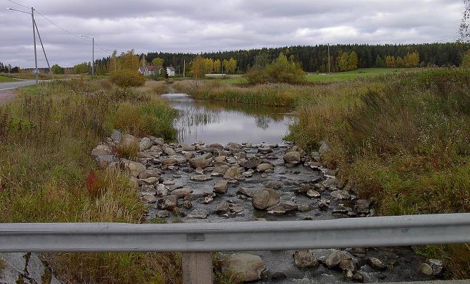 ennallistettu koskialue