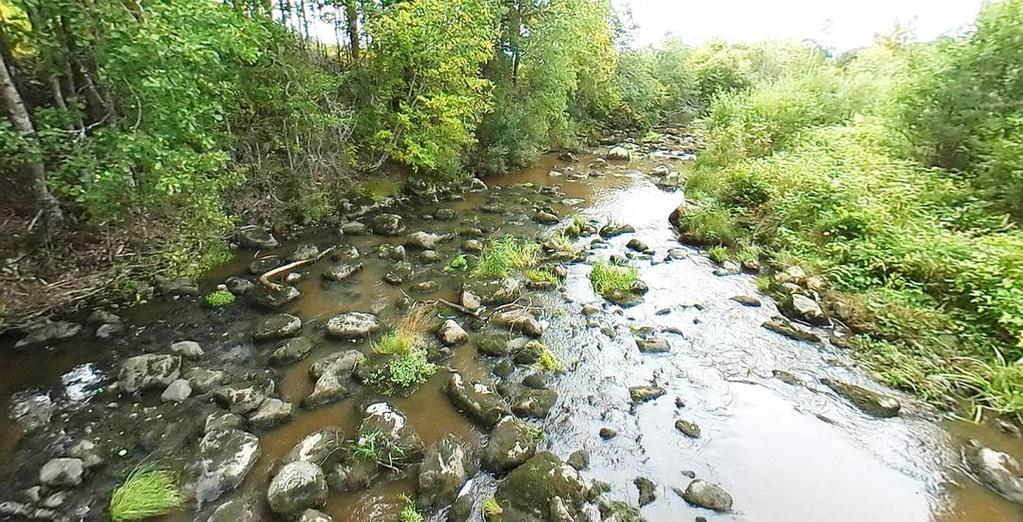 26 Kuva 2.34. Alasen Myllykosken (kohde 8) yläosan kunnostettua koskea alavirtaan päin kuvattuna. 2.6.3. Kunnostus- ja hoitotoimenpiteet Mettämyllyn ja Alasen Myllykosken alueella ei ole tarvetta toteuttaa suurempia kunnostustoimia.