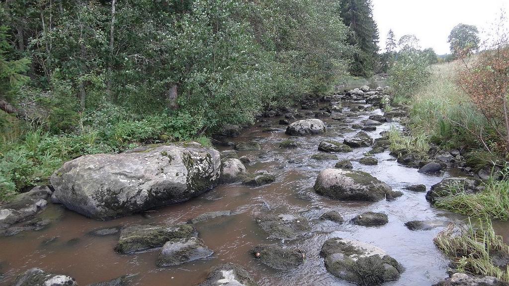 Kitinkosken alapuolella sijaitsevien koskien tavoin, Kitinkoskessakaan ei havaittu virtavesikaloille soveltuvia kutusoraikoita.