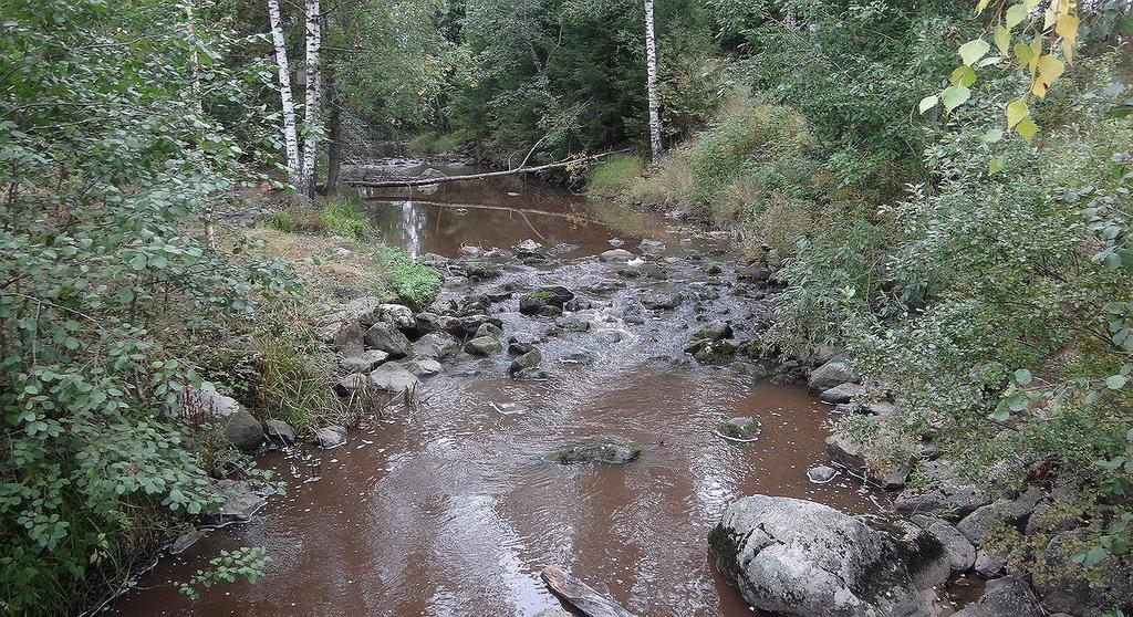 32 Kuva 2.44. Myllykoski kunnostettiin keskiosalta pohjakynnyksillä kosken vesisyvyyden parantamiseksi. 2.8.3. Kunnostus- ja hoitotoimenpiteet Myllykosken suvannon alapuolella oleva pohjakynnys esitetään kunnostettavaksi siten, että pohjakynnys ei vaikeutta kalojen liikkumista.